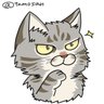 Фото профиля タモ<ハザードマップを確認しましょう>💉x5