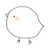 ぴよぴっこ/PiyoPicco YouTube🐤 profil fotoğrafı