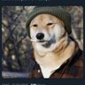 Benji profil fotoğrafı
