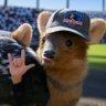 Фото профиля Pudú del Colo