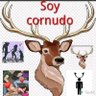 CORNUDO AND HOTWIFE's profile picture