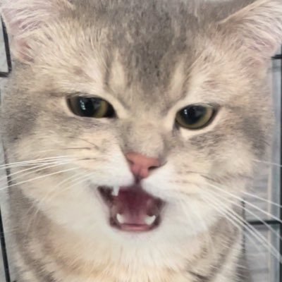 citzym's profile picture