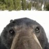 西溪湿 profil fotoğrafı