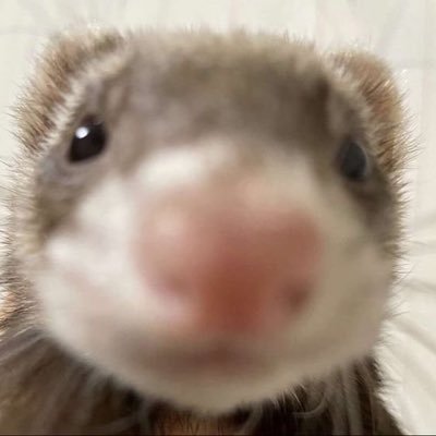 WAITP_'s profile picture