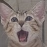 Profilbild von B.A