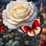 واحد من الناس profil fotoğrafı