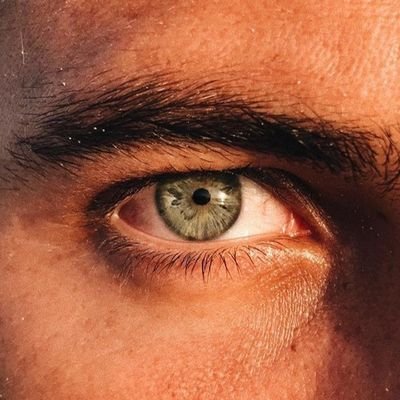 Ottoman-1299🇹🇷🇩🇪's profile picture