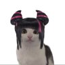 Juri's husband 的头像