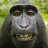 mason's profile picture