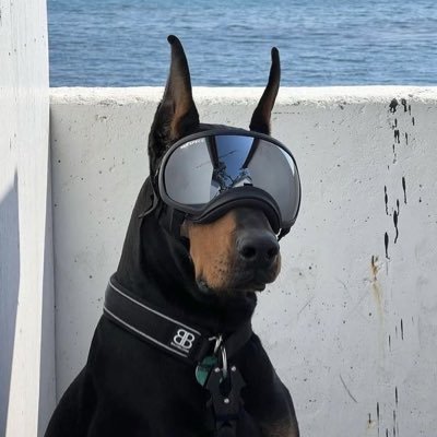 ຸSkepta's profile picture
