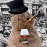 Quokka & Co 的头像