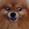 Profilbild von Marce