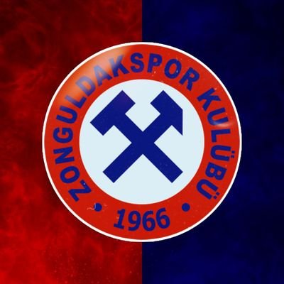 Zonguldakspor's profile picture