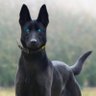 Profilbild von Harley Smith