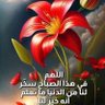 krm Elbendary profil fotoğrafı