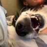 Profilbild von Ricky