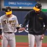 とらひろ🐯's profile picture