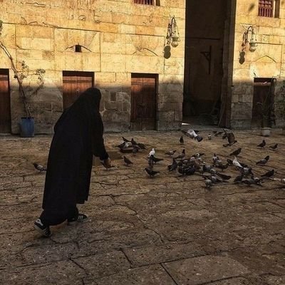 e s y â n's profile picture