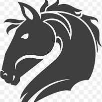 adelasmar0's profile picture
