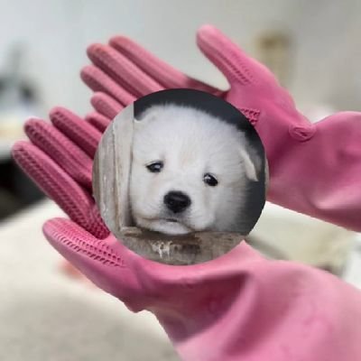 김장's profile picture