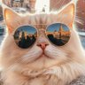 ねこ様 的头像