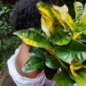 Netha🌺🦭's profile picture