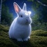 Profilbild von 月兎