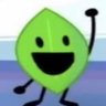 a fucking leaf's profile picture