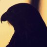 موسى الحازمي's profile picture