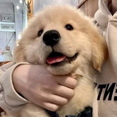 uptu_'s profile picture