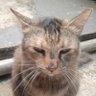 zemnamzemnam's profile picture