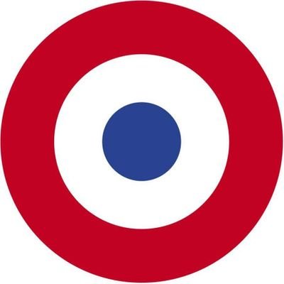 Escadrons de Chasse français's profile picture