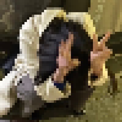 概念のチワワ's profile picture