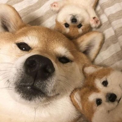 tjllm92141121's profile picture