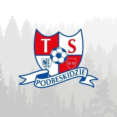 TS Podbeskidzie S.A.'s profile picture