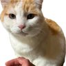 minerva's profile picture