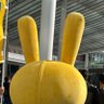Profilbild von 酒クズうたぎ🐇
