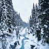 Фото профиля Justine Ive