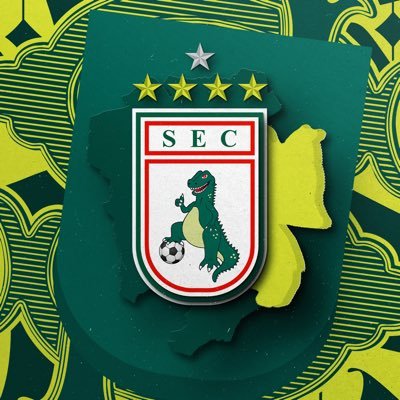 Sousa Esporte Clube ⭐️⭐️⭐️⭐'s profile picture