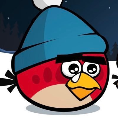• Angry Birds Facts •'s profile picture