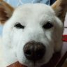 くう profil fotoğrafı