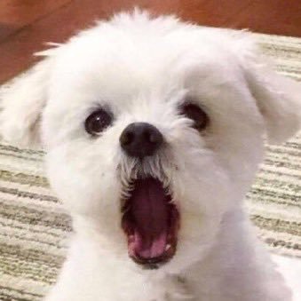 peopleway_'s profile picture