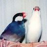 やっちゃん(&TACO) profil fotoğrafı
