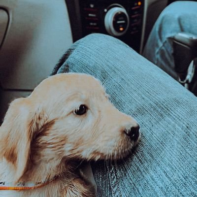 i__autophile's profile picture