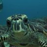 AnStra profil fotoğrafı