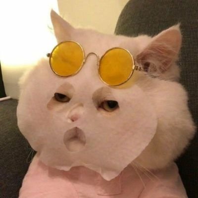 Ye's profile picture
