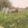 Profilbild von منصور الموسى