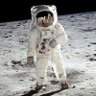 SpaceDude3000 的头像