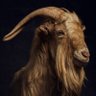 GOAT 的头像