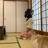 Profilbild von くろみ